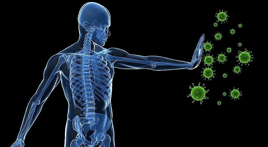 Immune system - what is it - Dr. Elix Best Natural Remedies